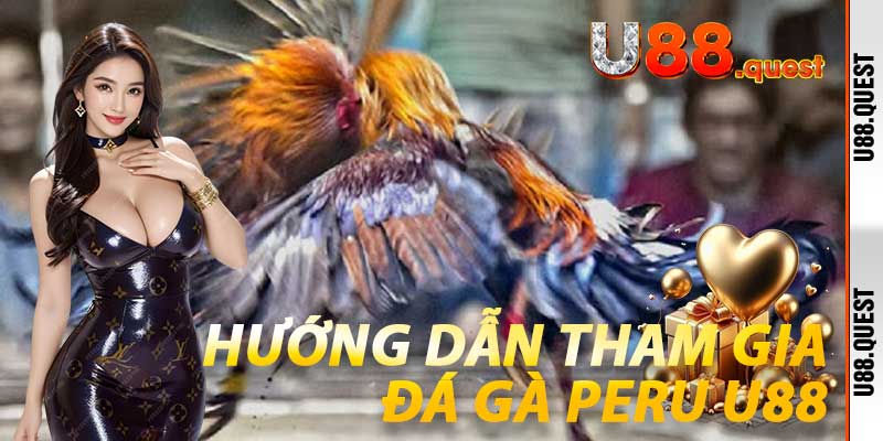Hướng dẫn tham gia Đá Gà Peru U88