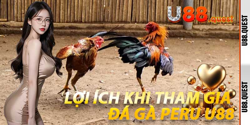 Lợi ích khi tham gia Đá Gà Peru U88