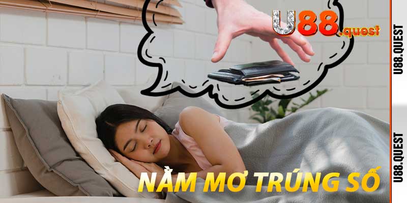 Nằm Mơ Trúng Số - Hành trình chinh phục giấc mơ giàu sang